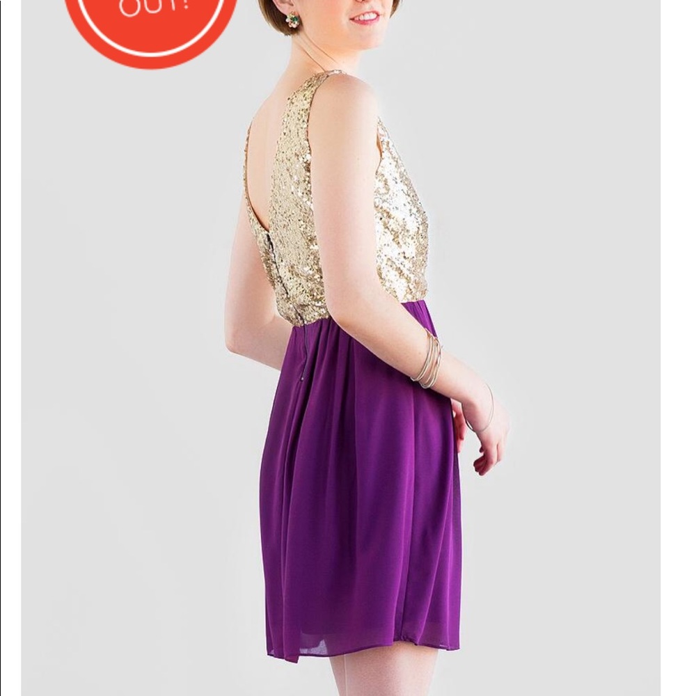 NWT - Rosia Sequin Dress - Francescas